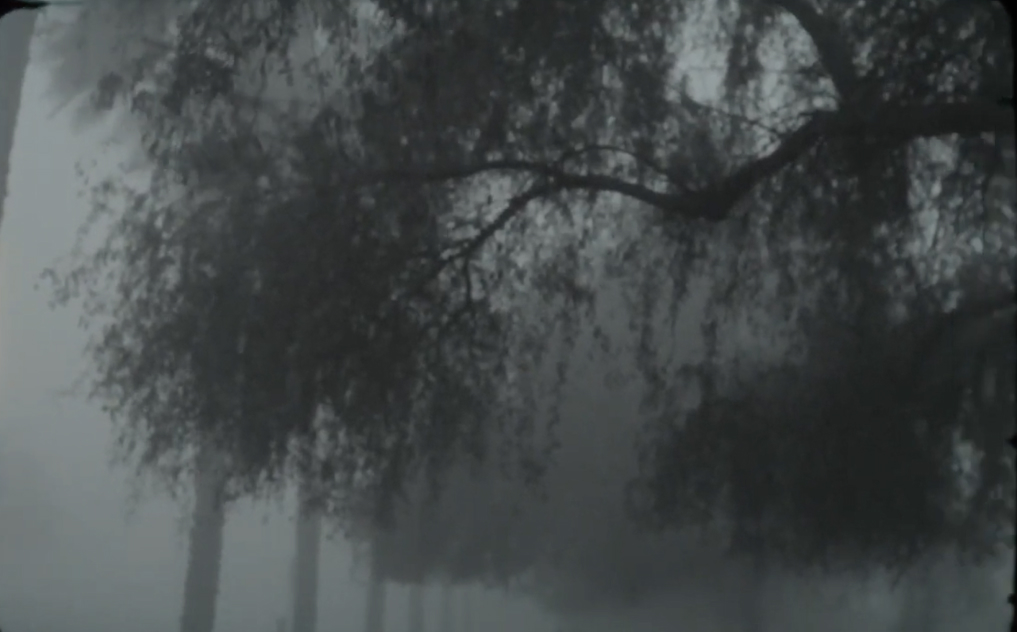 Creativity is You: Hill+Knowlton Strategies' Submission to Lynx Shorts